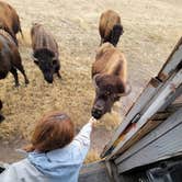 Review photo of Terry Bison Ranch by Barbara F., May 3, 2023