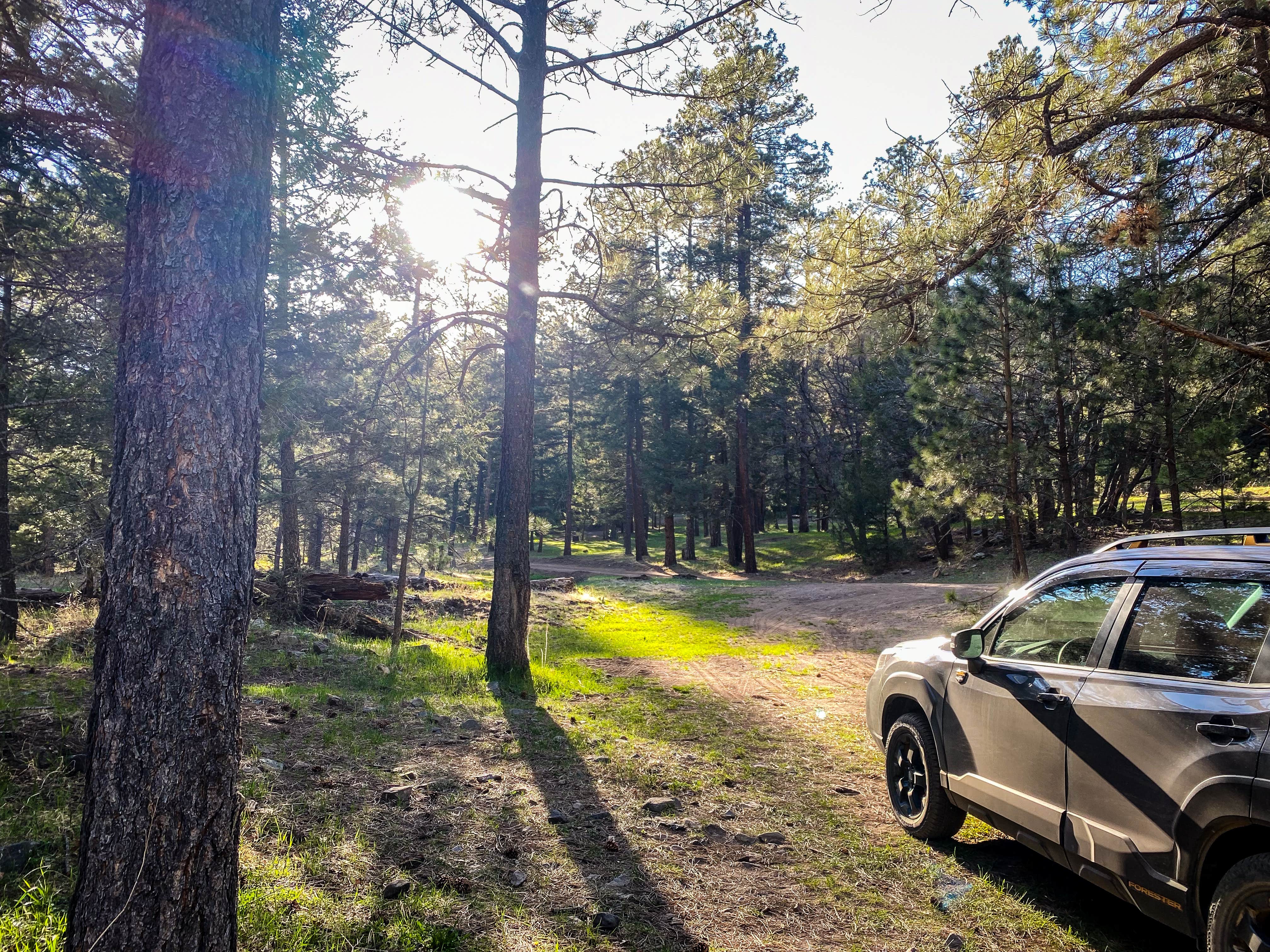 Camper submitted image from Upper Bonito Dispersed Recreation Area - 5