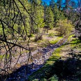 Review photo of Upper Bonito Dispersed Recreation Area by Kala J., May 3, 2023