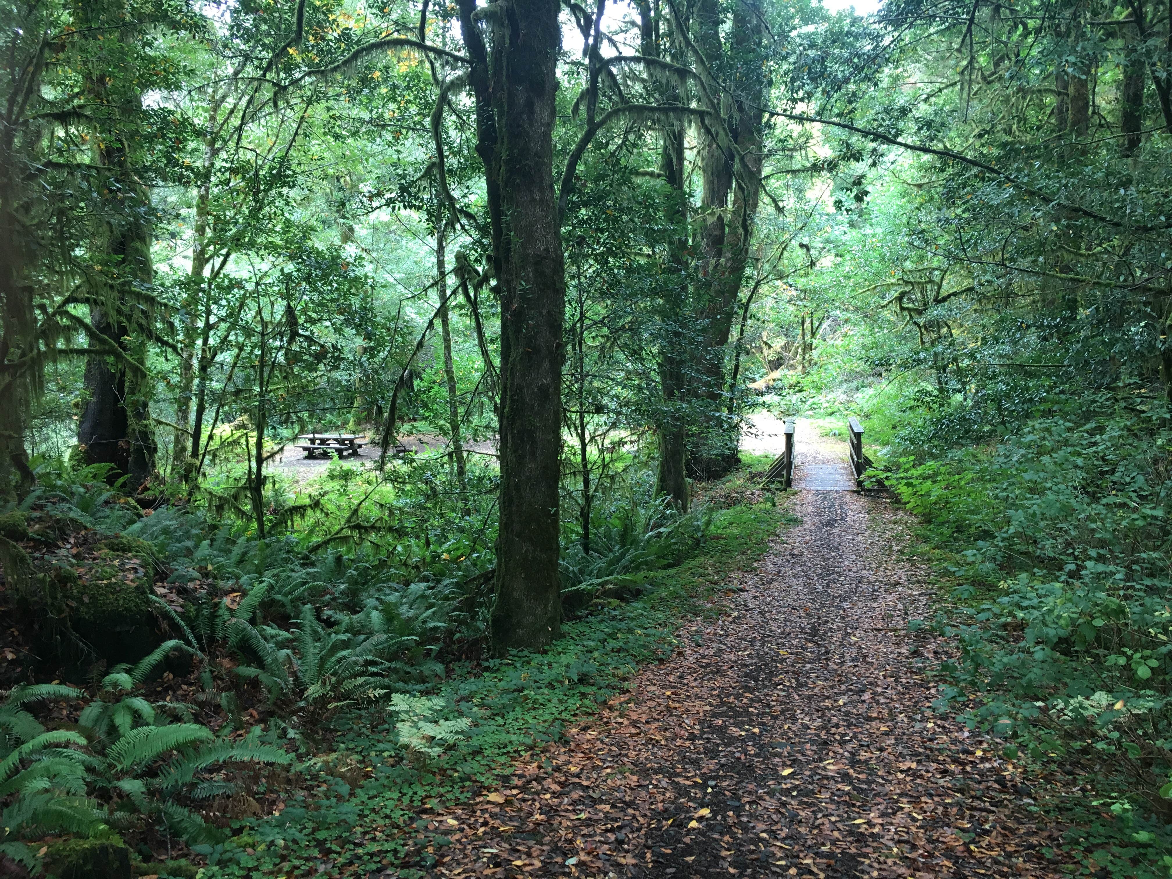 Nature