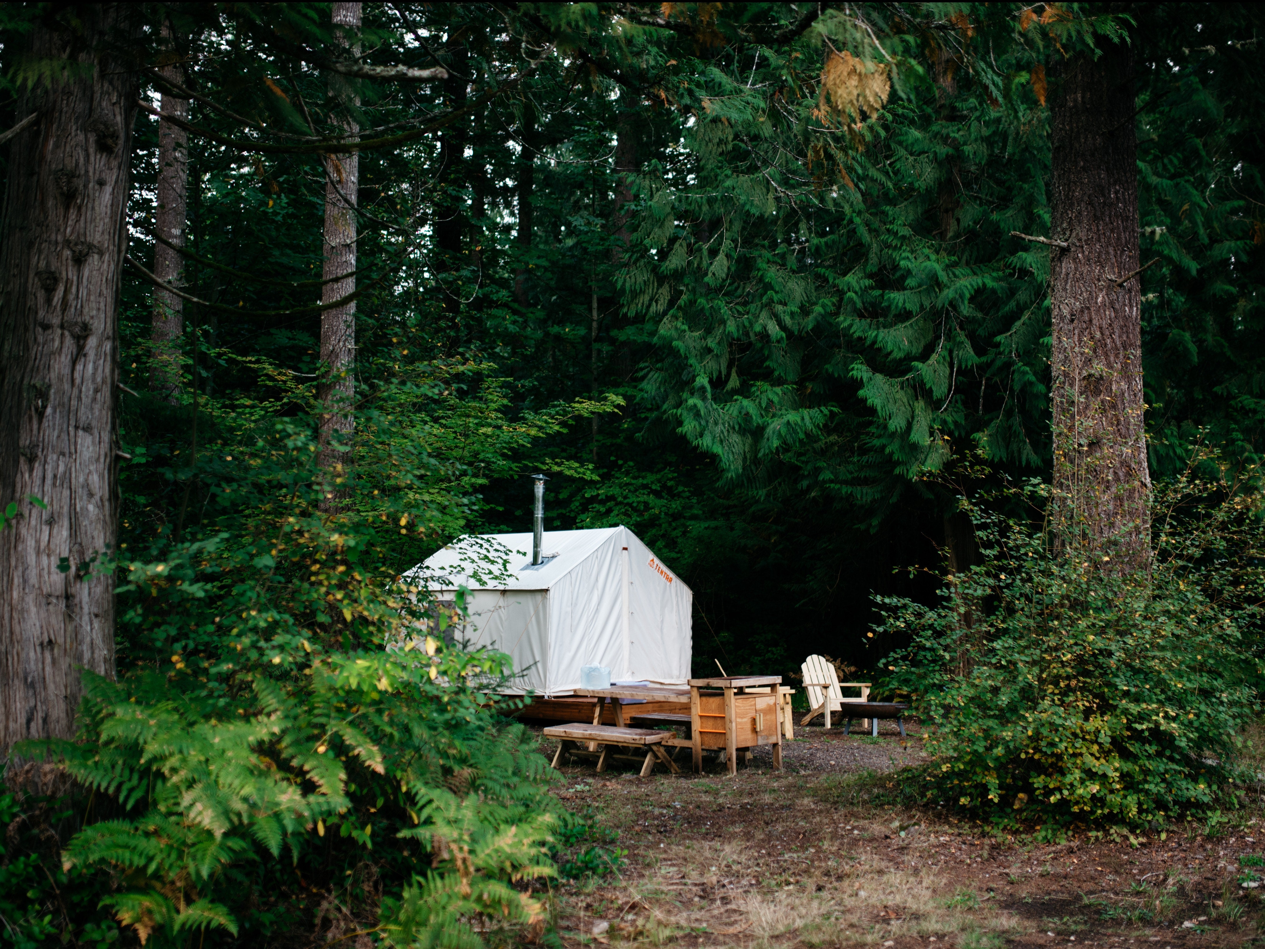 Camper submitted image from Tentrr Signature Site - Cascade Rose Alpaca Farm Stay - 1