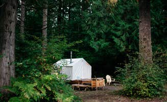 The Dyrt's photo at Tentrr Signature Site - Cascade Rose Alpaca Farm Stay near Bothell, WA