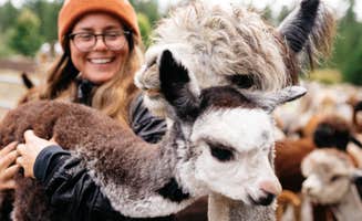 The Dyrt's photo of camping with pets at Tentrr Signature Site - Cascade Rose Alpaca Farm Stay near Redmond, WA