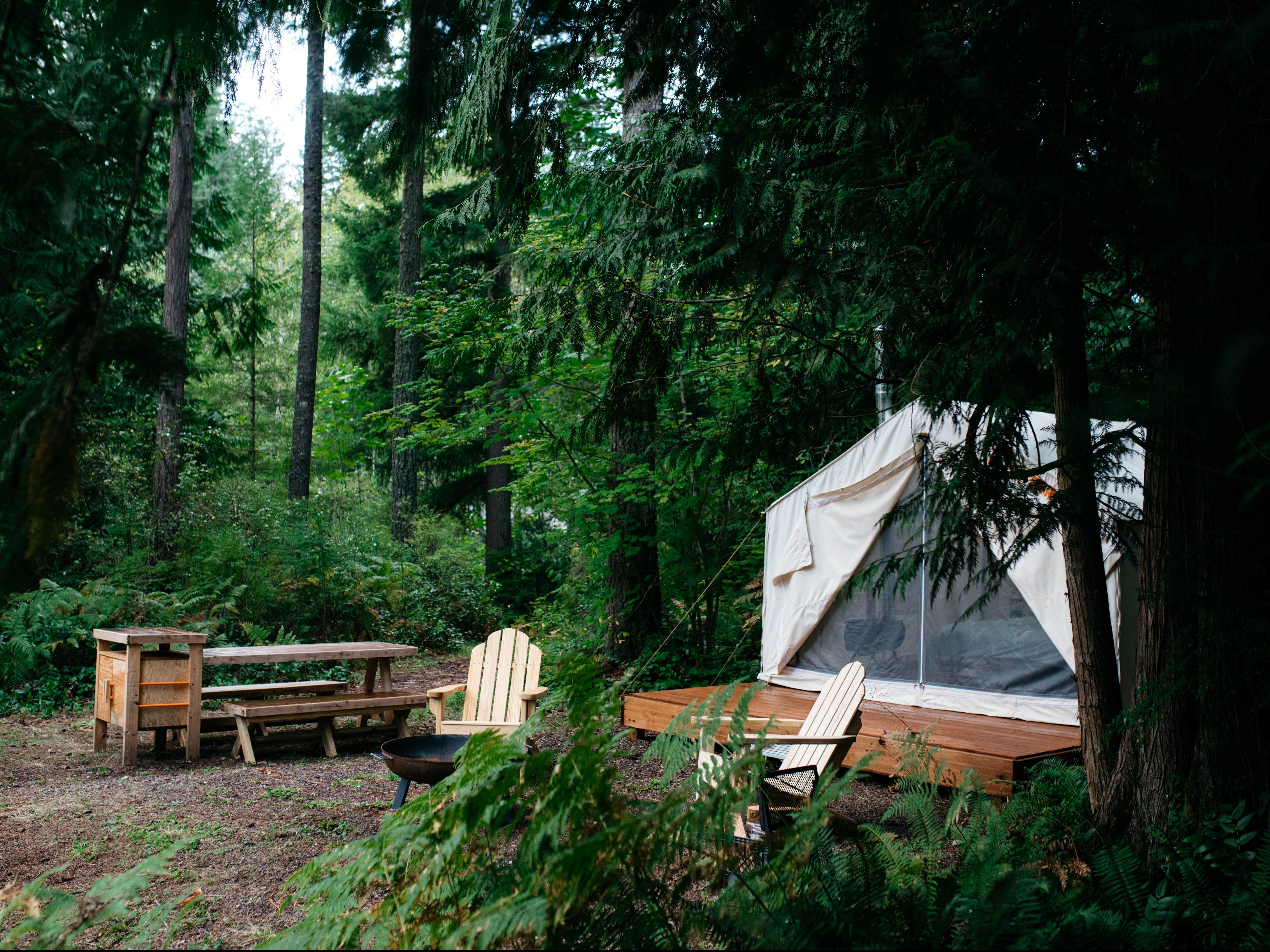 The Dyrt's photo at Tentrr Signature Site - Cascade Rose Alpaca Farm Stay near Kent, WA