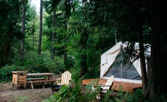 The Dyrt's photo at Tentrr Signature Site - Cascade Rose Alpaca Farm Stay near Kent, WA