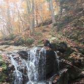 Review photo of Patapsco Valley State Park-Hilton Area by Anthony S., October 8, 2018