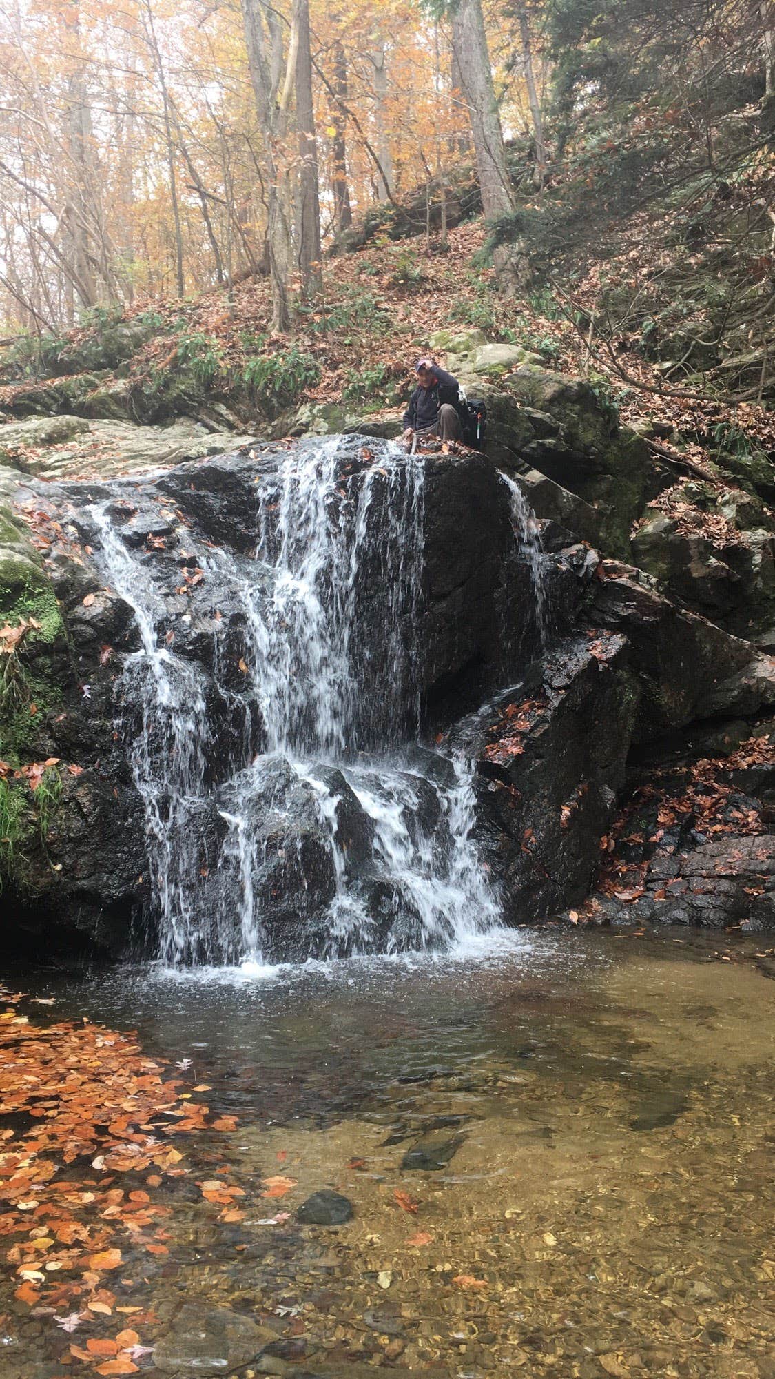 Camper submitted image from Patapsco Valley State Park-Hilton Area - 4