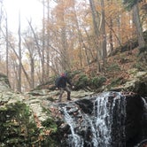 Review photo of Patapsco Valley State Park-Hilton Area by Anthony S., October 8, 2018