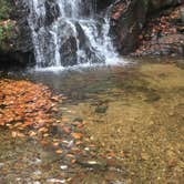 Review photo of Patapsco Valley State Park-Hilton Area by Anthony S., October 8, 2018