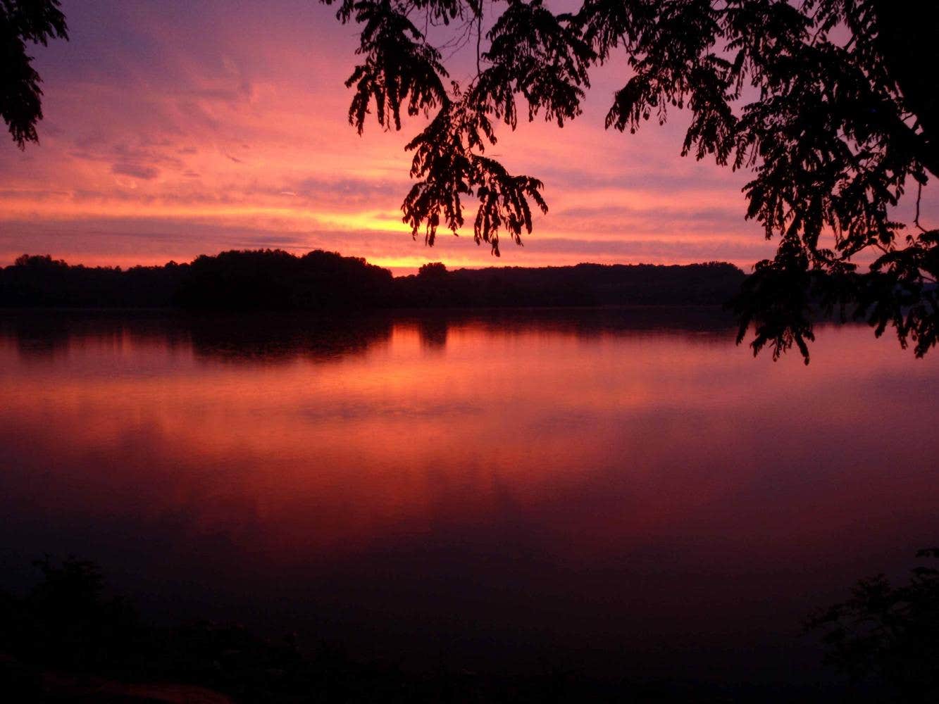 Camper submitted image from Findley State Park Campground - 1