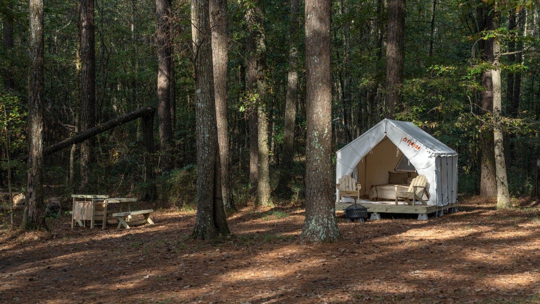 Camper submitted image from Tentrr State Park Site - Mississippi Roosevelt State Park - Tall Trees D - Single Camp - 1
