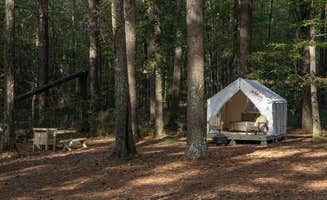 The Dyrt's photo at Tentrr State Park Site - Mississippi Roosevelt State Park - Tall Trees D - Single Camp near Walnut Grove, MS