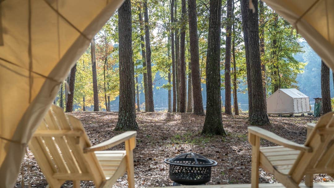 The Dyrt's photo at Tentrr State Park Site - Mississippi Roosevelt State Park - Tall Trees D - Single Camp near Ludlow, MS