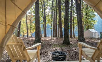 The Dyrt's photo at Tentrr State Park Site - Mississippi Roosevelt State Park - Tall Trees D - Single Camp near Walnut Grove, MS