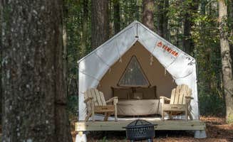 The Dyrt's photo at Tentrr State Park Site - Mississippi Roosevelt State Park - Tall Trees D - Single Camp near Walnut Grove, MS