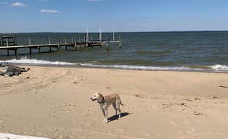 The Dyrt's photo of camping with pets at Tentrr Signature Site - Potomac Landing near Broomes Island, MD
