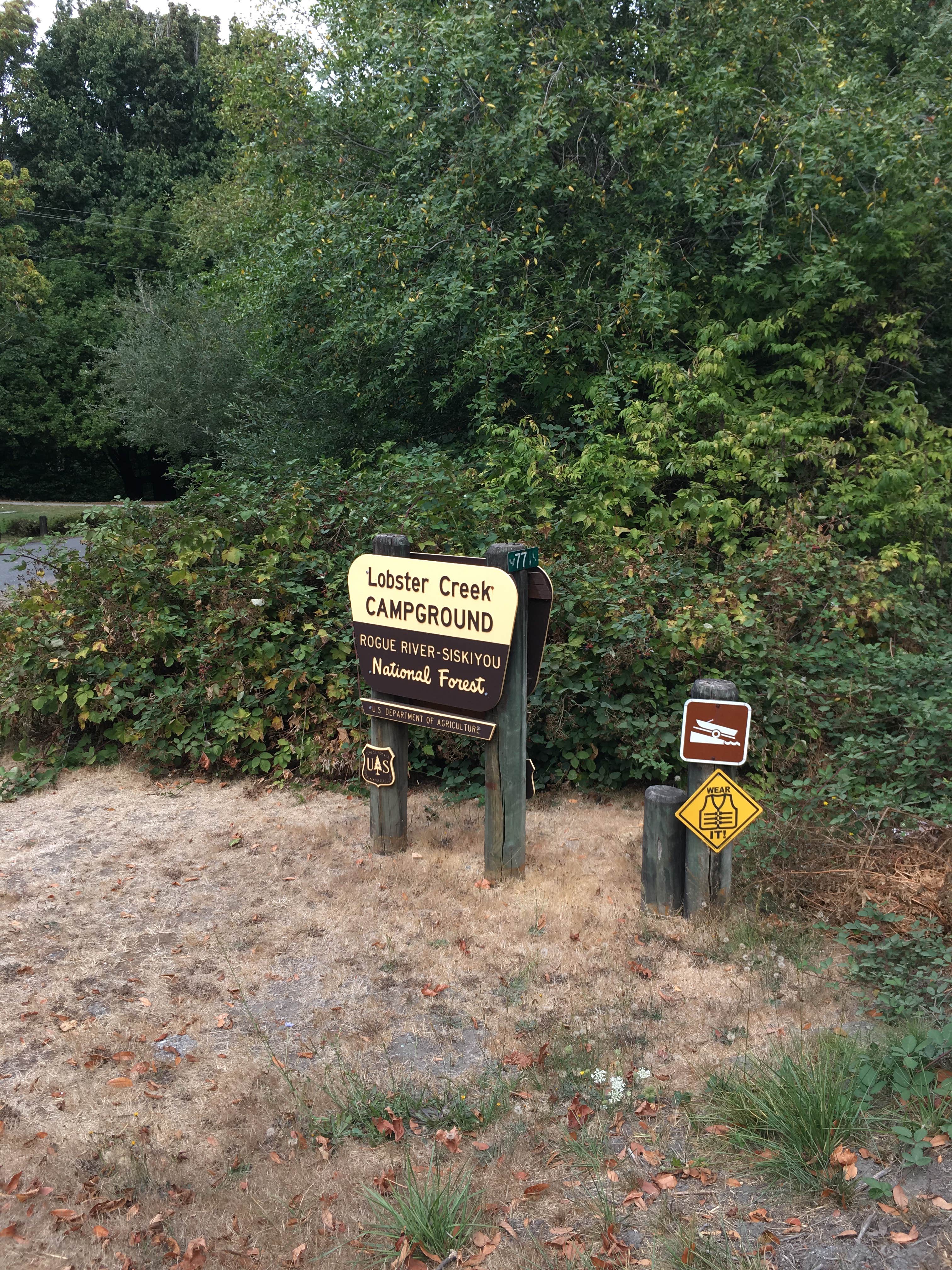 Camper-submitted photo at Lobster Creek Campground near Ophir, OR