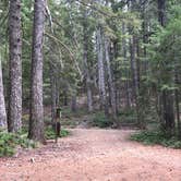 Review photo of Elko Camp Recreation Site by sam B., October 8, 2018