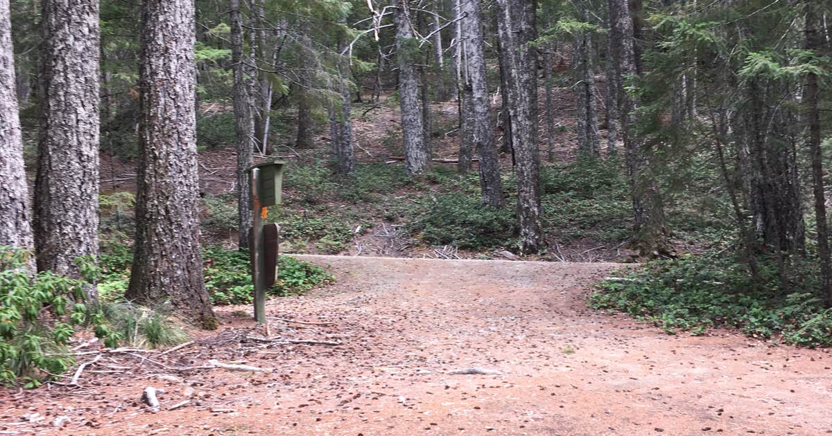 Elko Camp Recreation Site