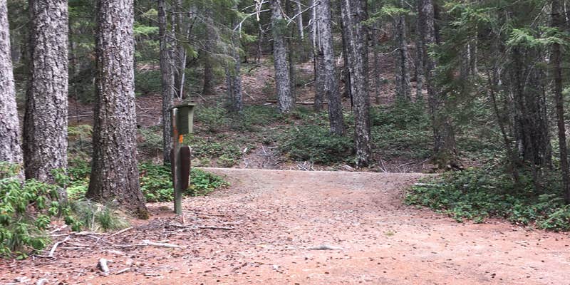 Camper submitted image from Elko Camp Recreation Site