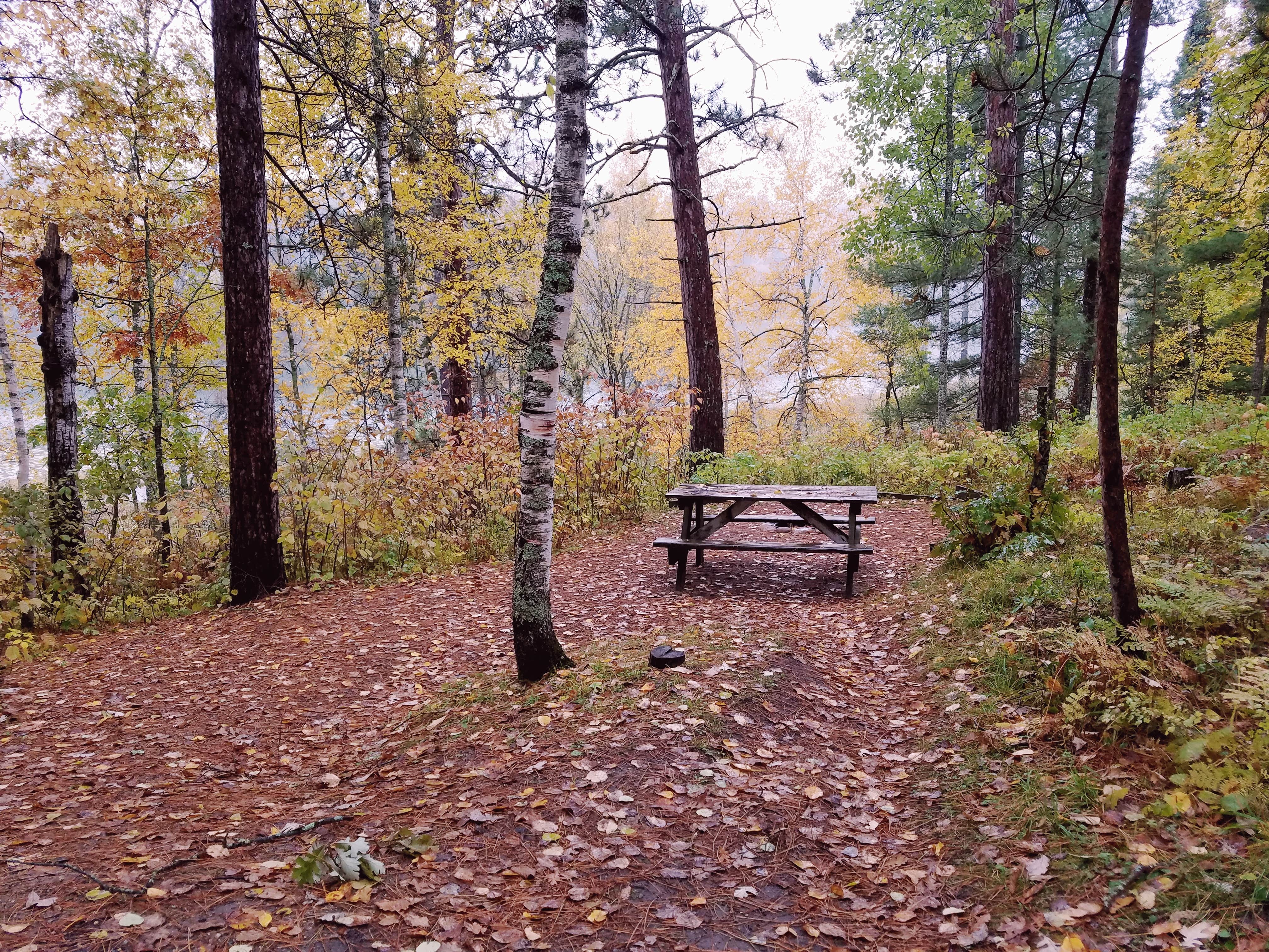 Camper-submitted photo at Fawn Sleeping Resort near Walker, MN