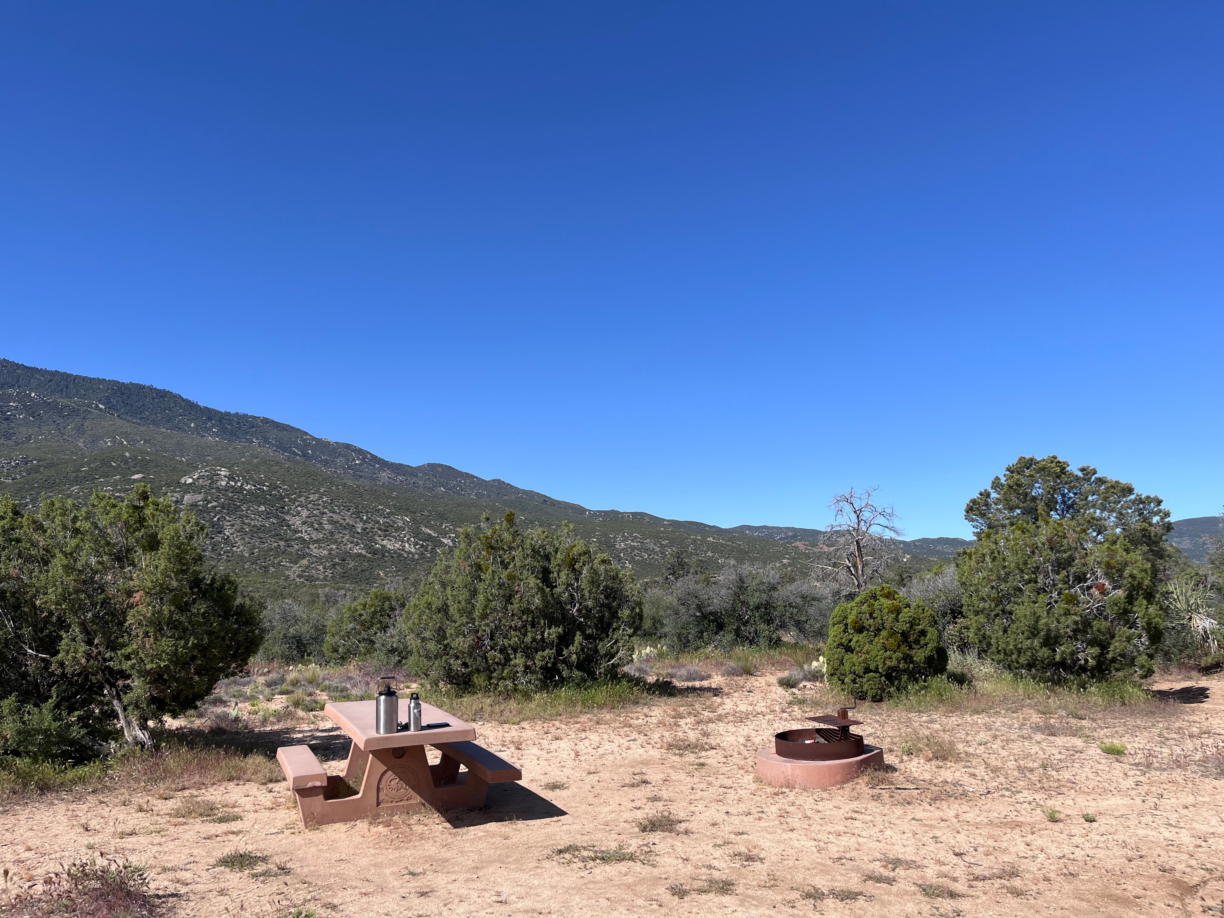 Camper submitted image from Pinyon Flat Campground - 4