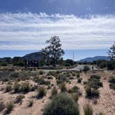 Review photo of Pinyon Flat Campground (San Bernardino National Forest) — San Bernardino National Forest by Carissa H., May 3, 2023