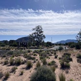 Review photo of Pinyon Flat Campground by Carissa H., May 3, 2023