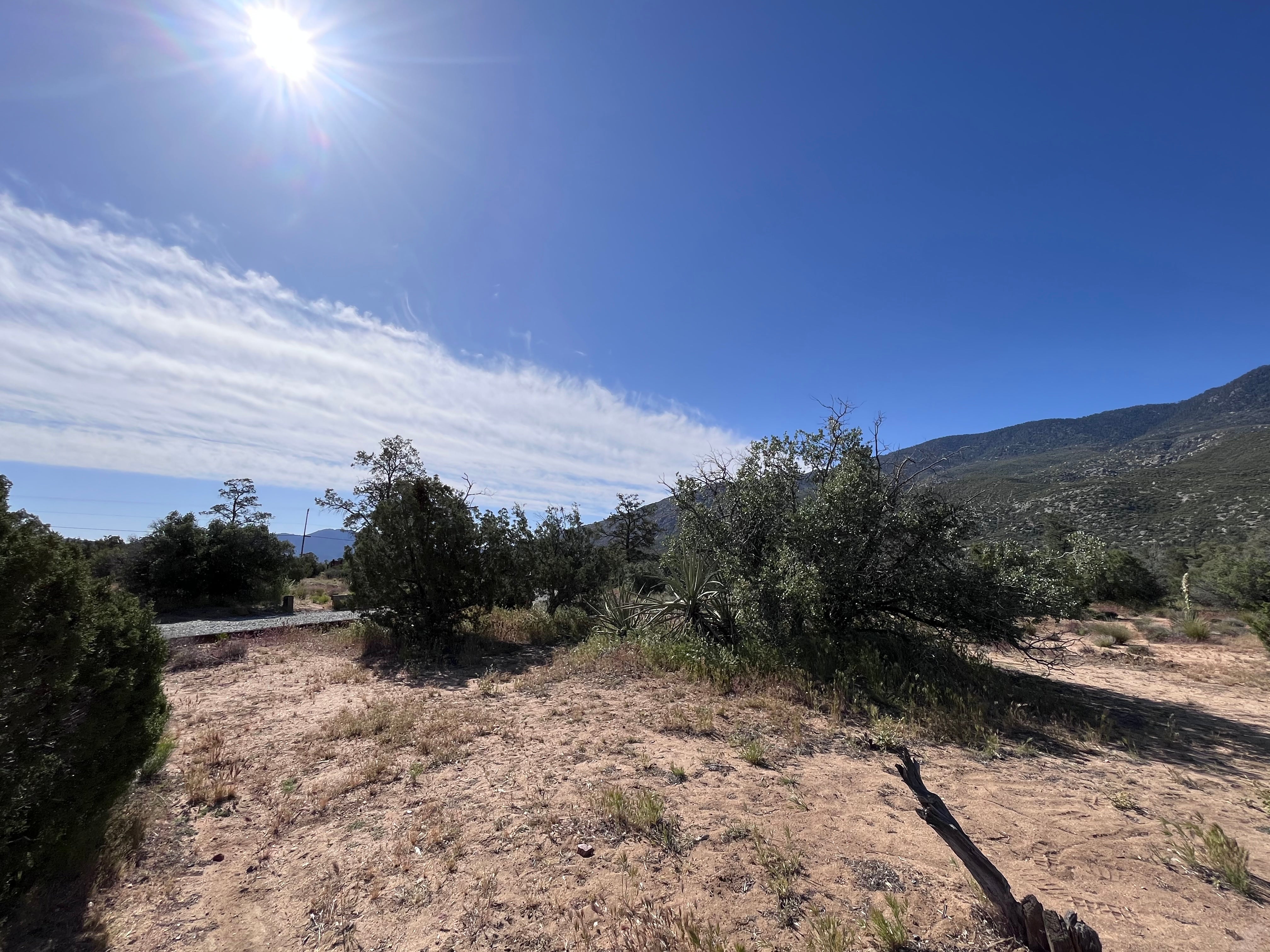 Camper submitted image from Pinyon Flat Campground - 1