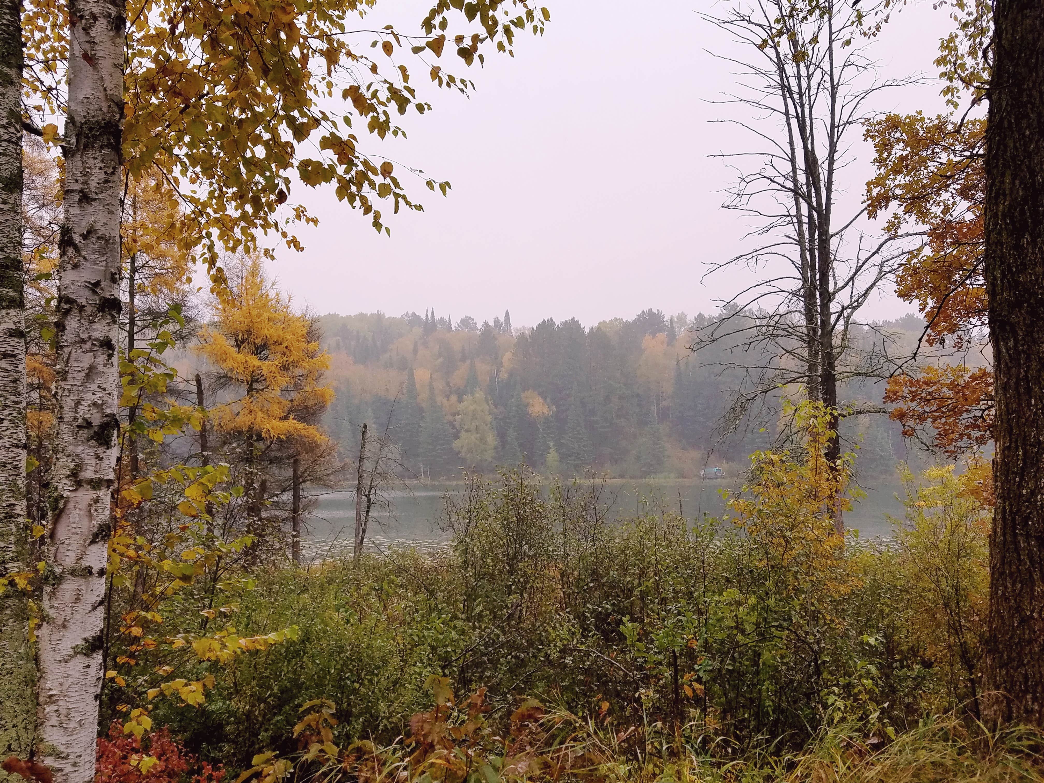 Camper-submitted photo at Fawn Sleeping Resort near Walker, MN