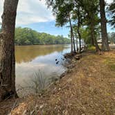 Review photo of Pine Island RV Park by Lynn G., May 3, 2023