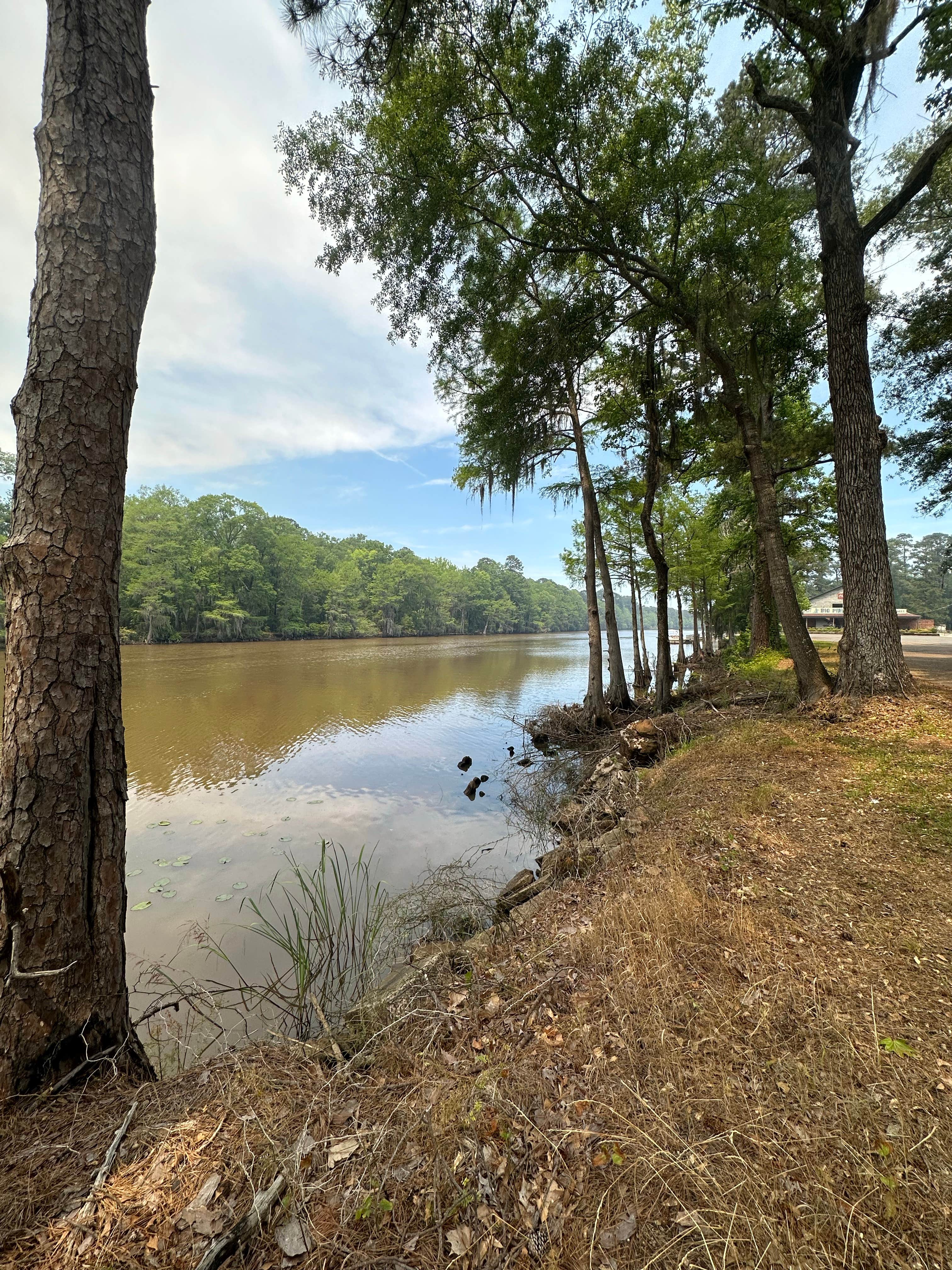 Camper submitted image from Pine Island RV Park - 5