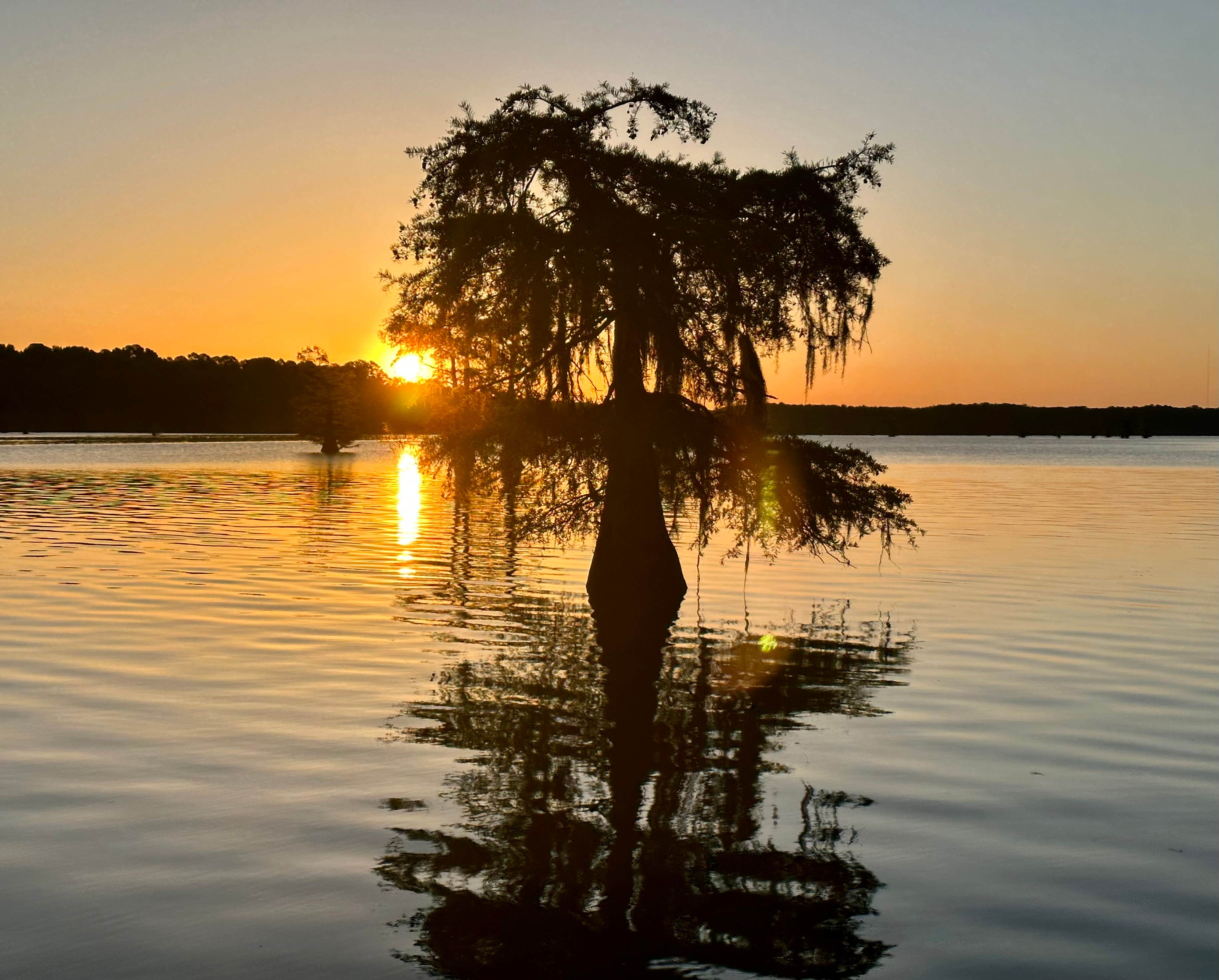 Camper-submitted photo at Pine Island RV Park near Karnack, TX