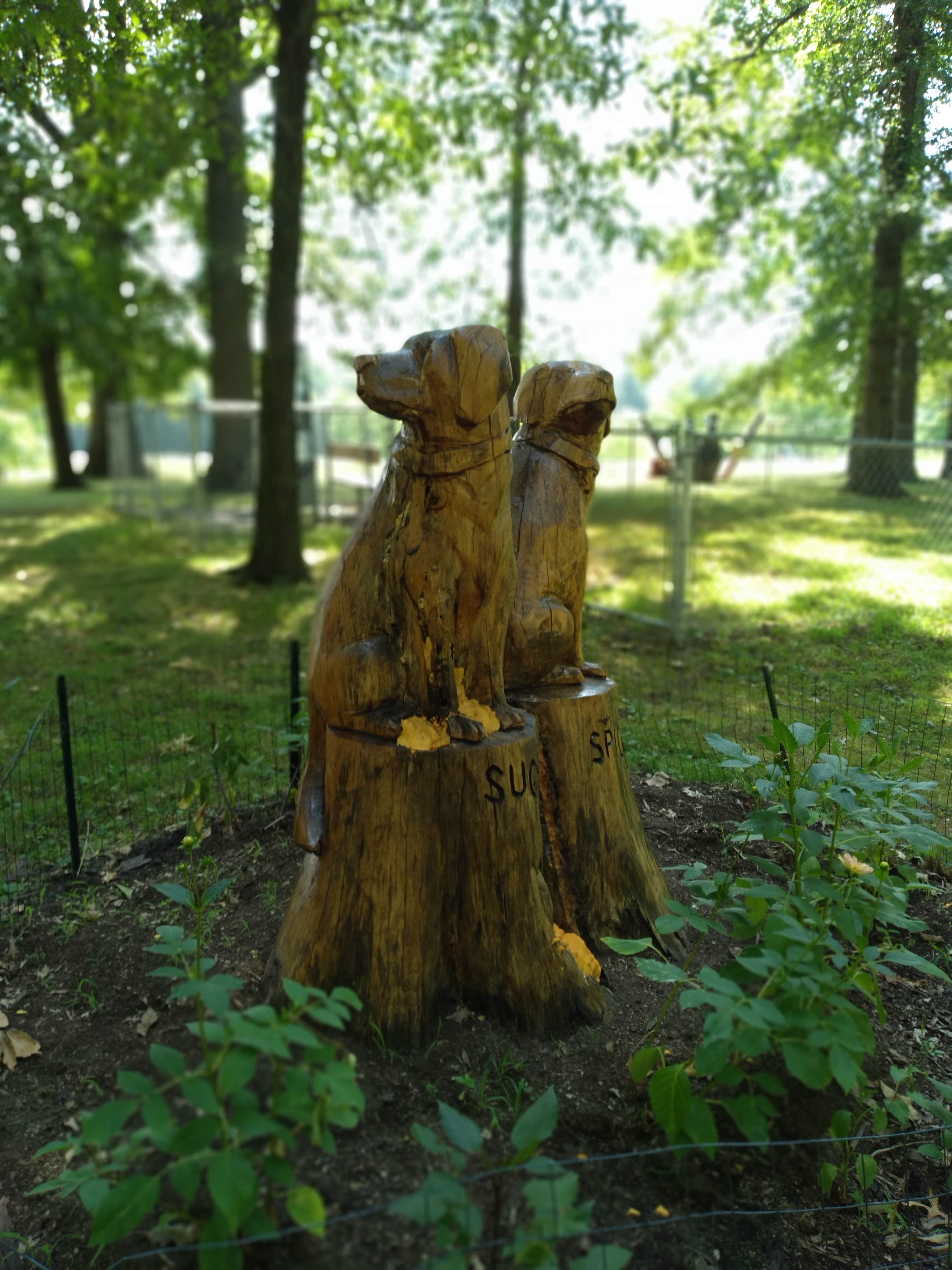 Camper-submitted photo at Whittington Woods Campground near Johnston City, IL