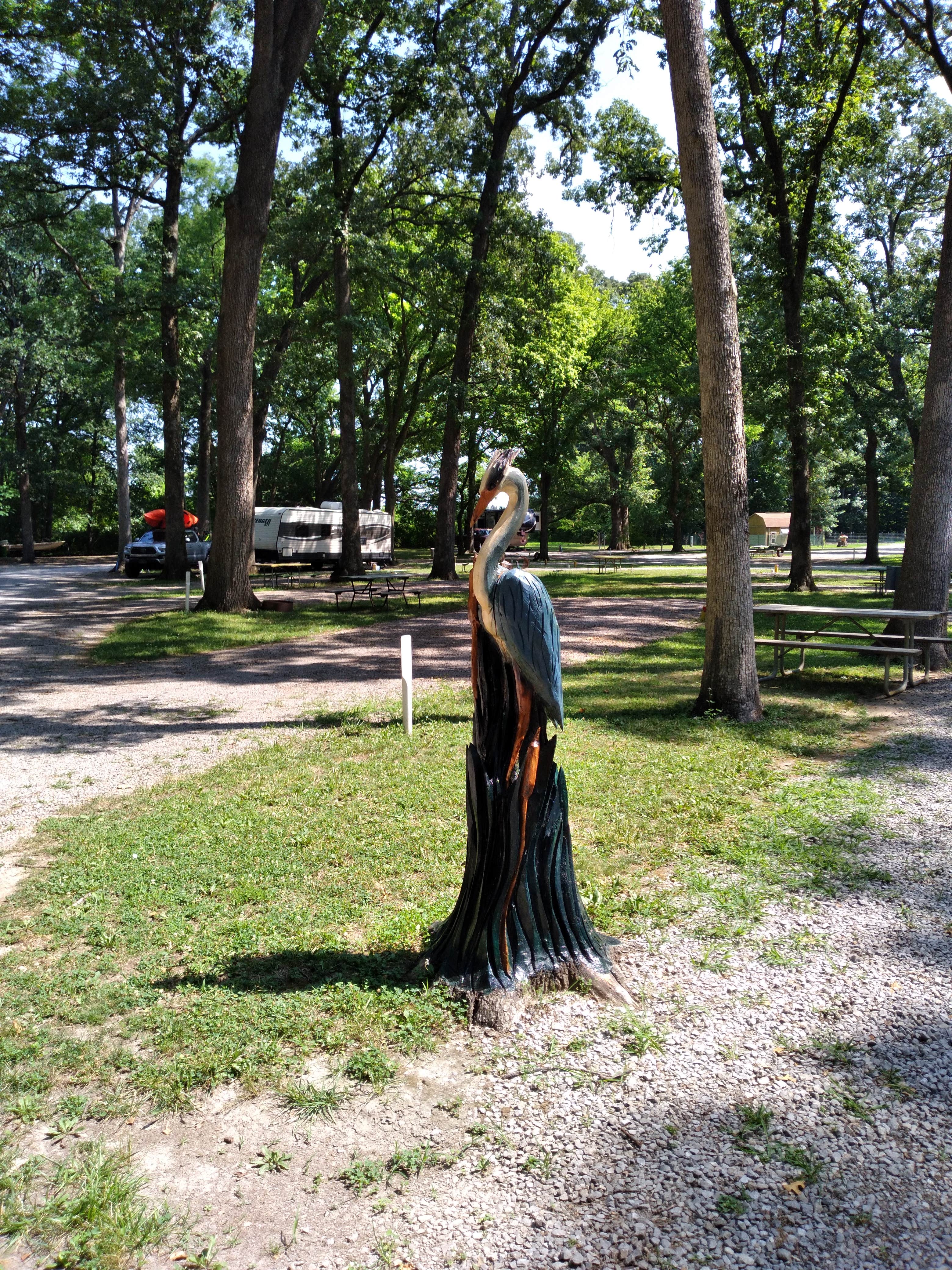 Camper submitted image from Whittington Woods Campground - 4