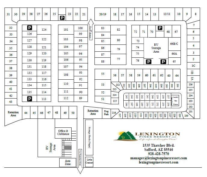 Camper-submitted photo at Lexington Pines Resort near Safford, AZ