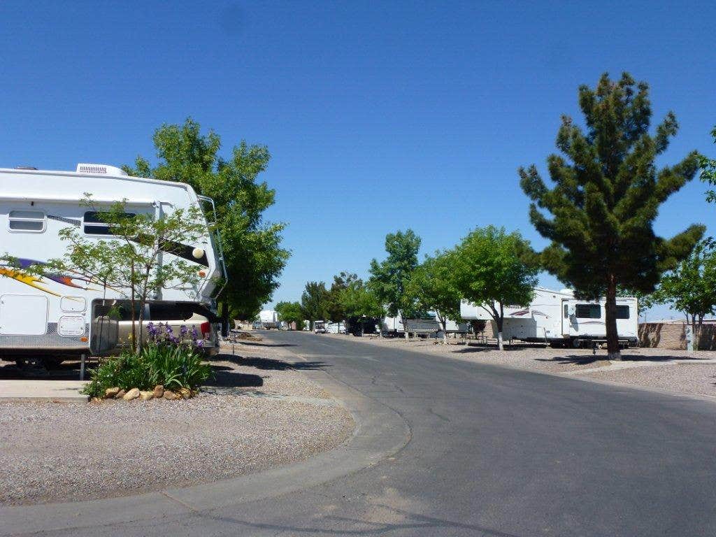 Camper-submitted photo at Lexington Pines Resort near Safford, AZ
