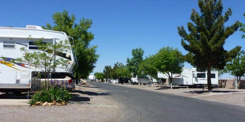 Camper submitted image from Lexington Pines Resort