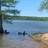 Review photo of Second Creek Rec Area by Michael W., May 3, 2023