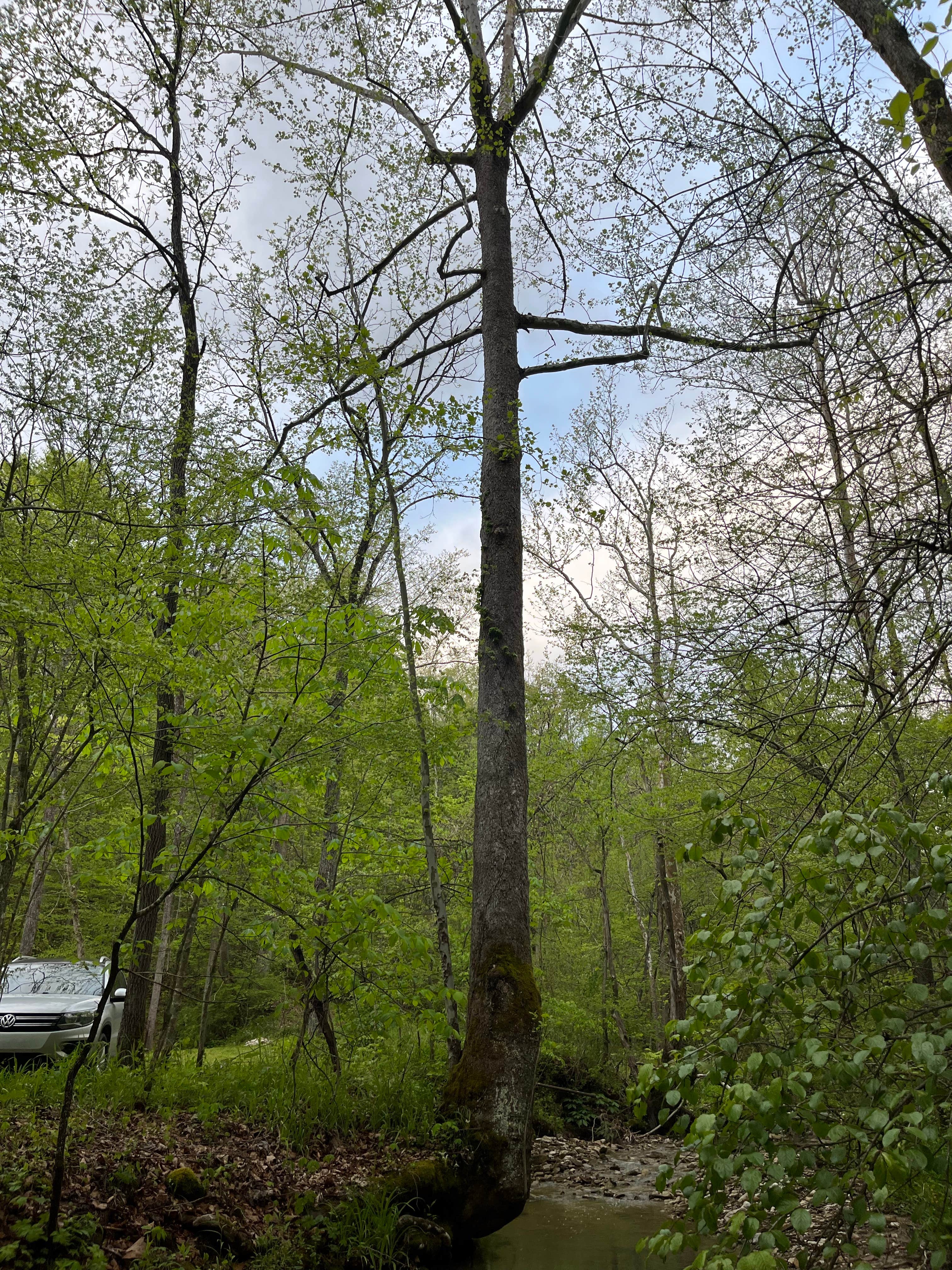 Camper submitted image from Nocomas Pass - 5