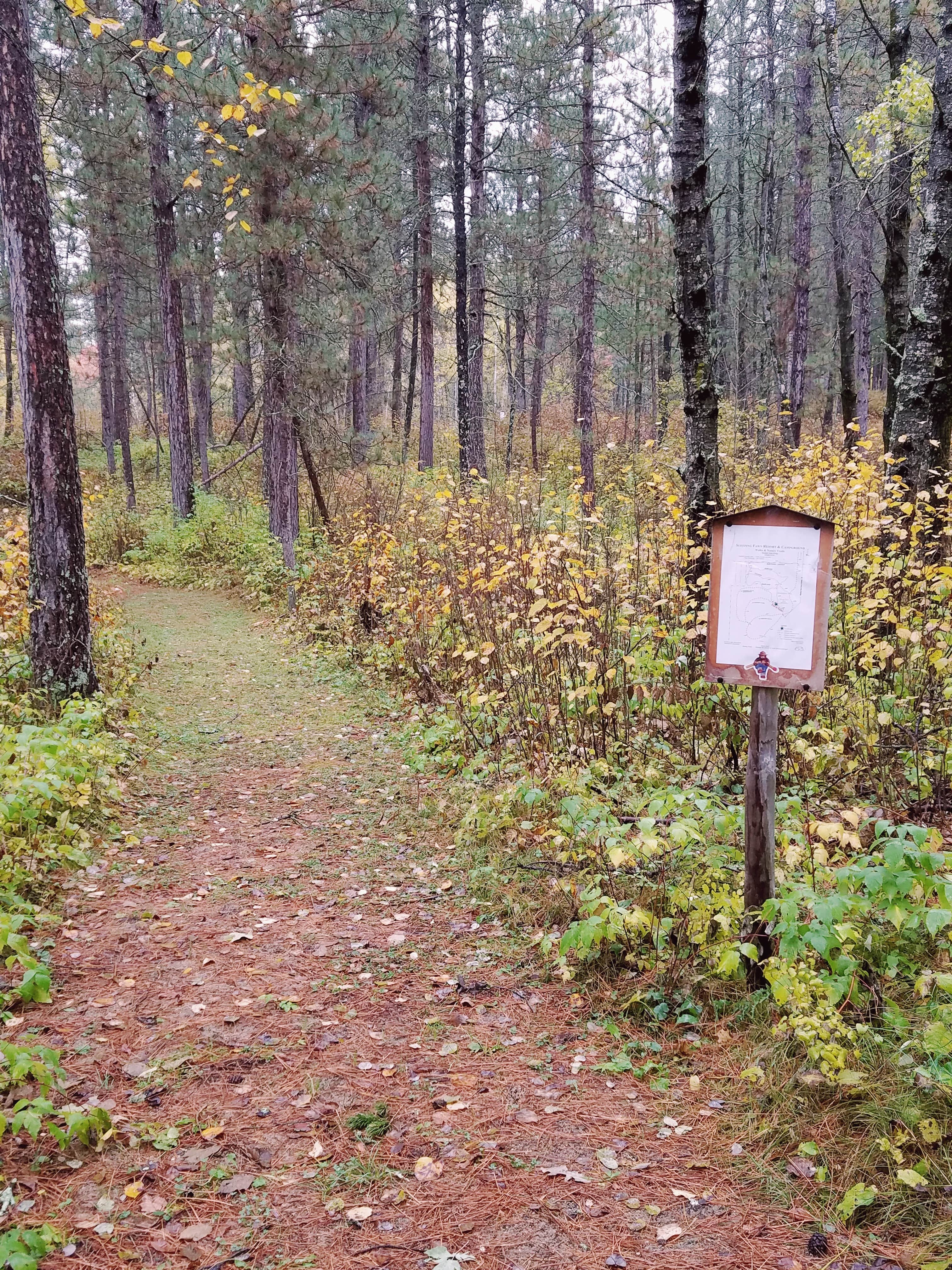 Camper-submitted photo at Fawn Sleeping Resort near Walker, MN