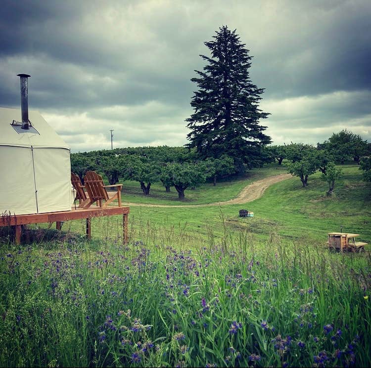 The Dyrt's photo at Tentrr Signature Site - Hidden Acres Orchards near Spokane Valley, WA