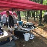 Review photo of Smuggler's Den Campground by Erin S., October 8, 2018