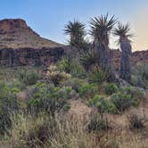 Review photo of Hole in the Wall Campground — Mojave National Preserve by Michael , May 4, 2023