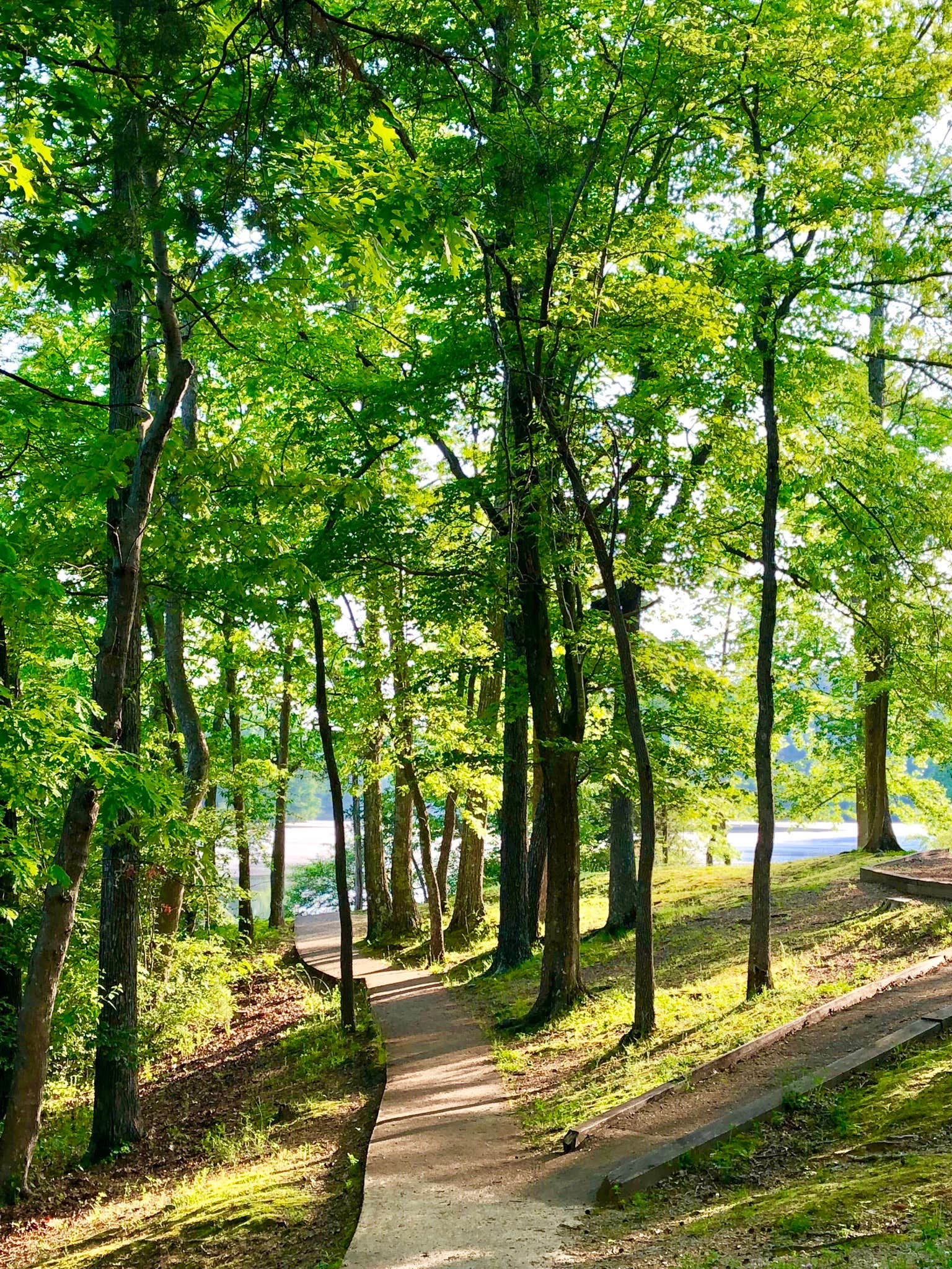 Camper submitted image from Cub Lake Campground #2 — Natchez Trace State Park - 4