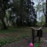 Review photo of Bay Center-Willapa Bay KOA by Jake H., May 4, 2023