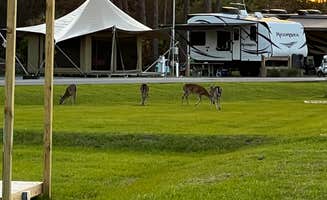 Ransom J.'s photo at St. Andrews State Park Campground near Youngstown, FL