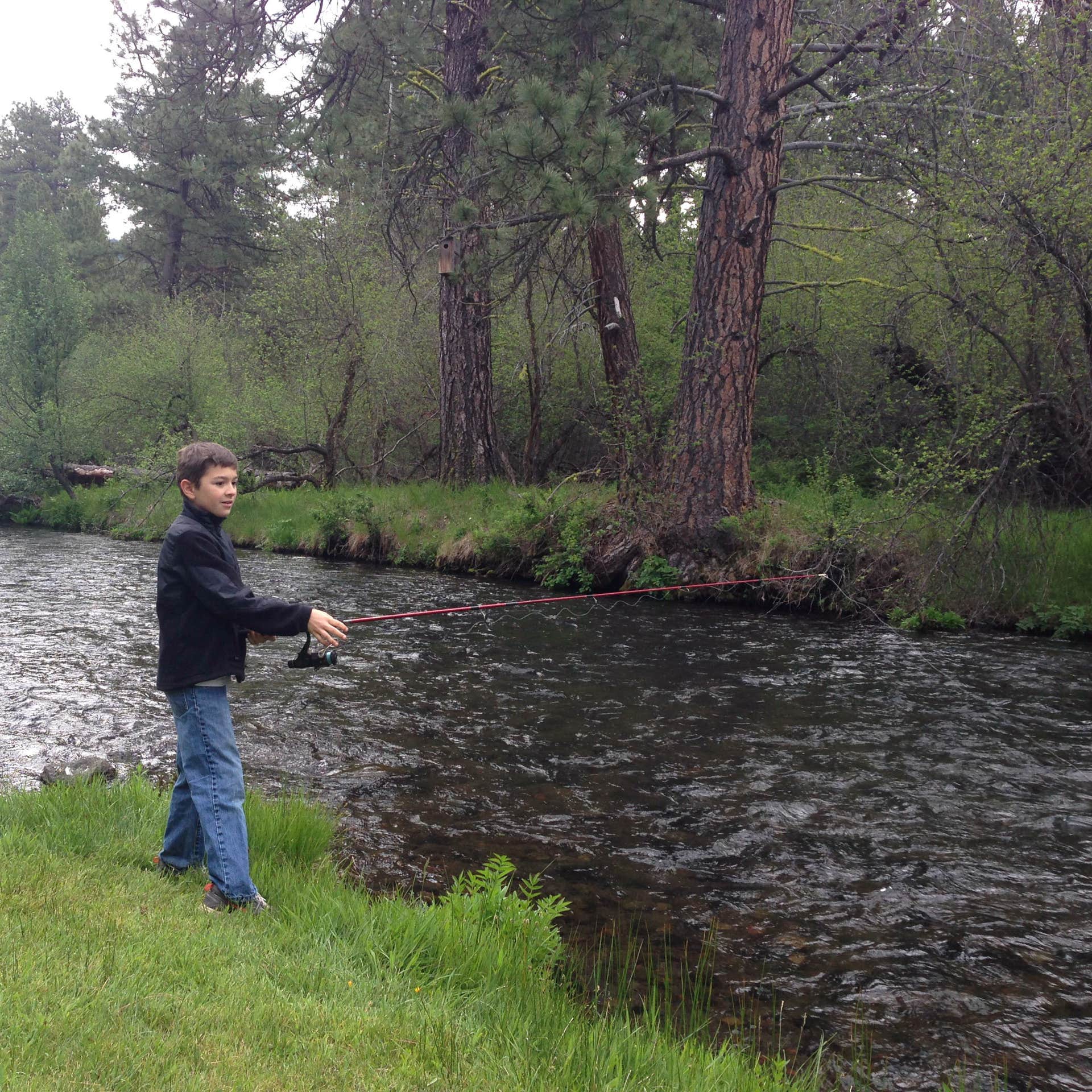 The Property A Unique Campsite at Camp Sherman Camping The Dyrt