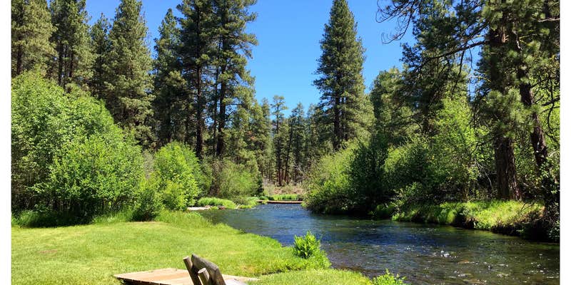 Camper submitted image from The Property - A Unique Campsite at Camp Sherman