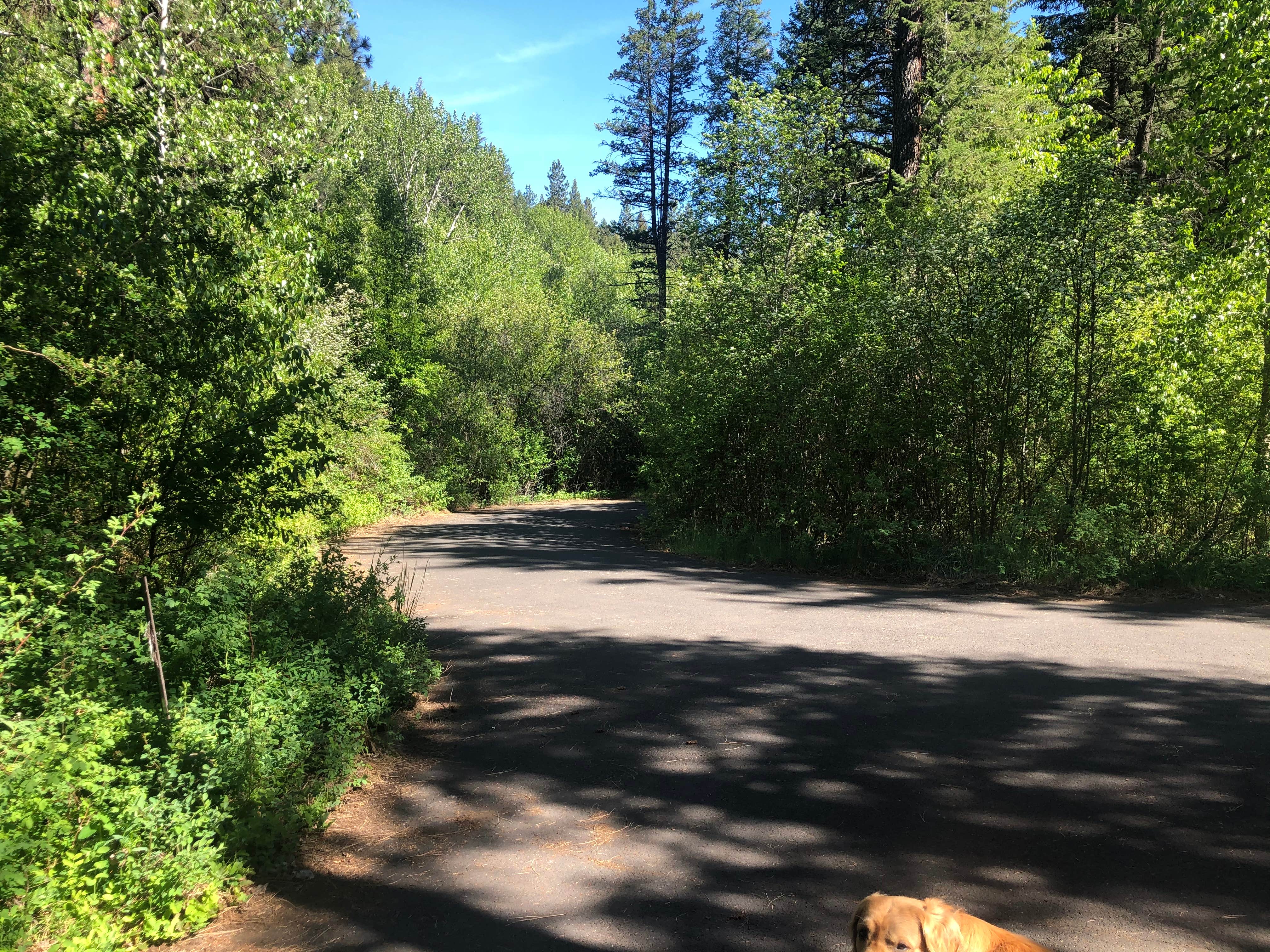 James W.'s photo of camping with pets at Spool Cart Campground near Meacham, OR